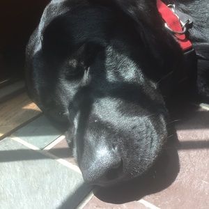 Meet your Posher, Gina